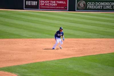 DSC_1603 (Large).JPG